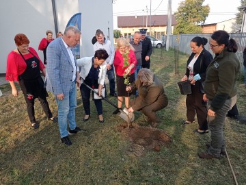 Kolejny sad tradycyjny w PKWŁ, Świetlica wiejska gm. Brzeziny 2.10.2021r. fot. KR.Sosnowska, 